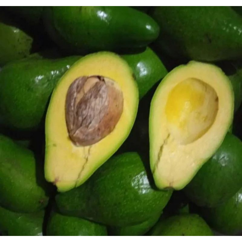 

Alpukat Muria 1 Kg
