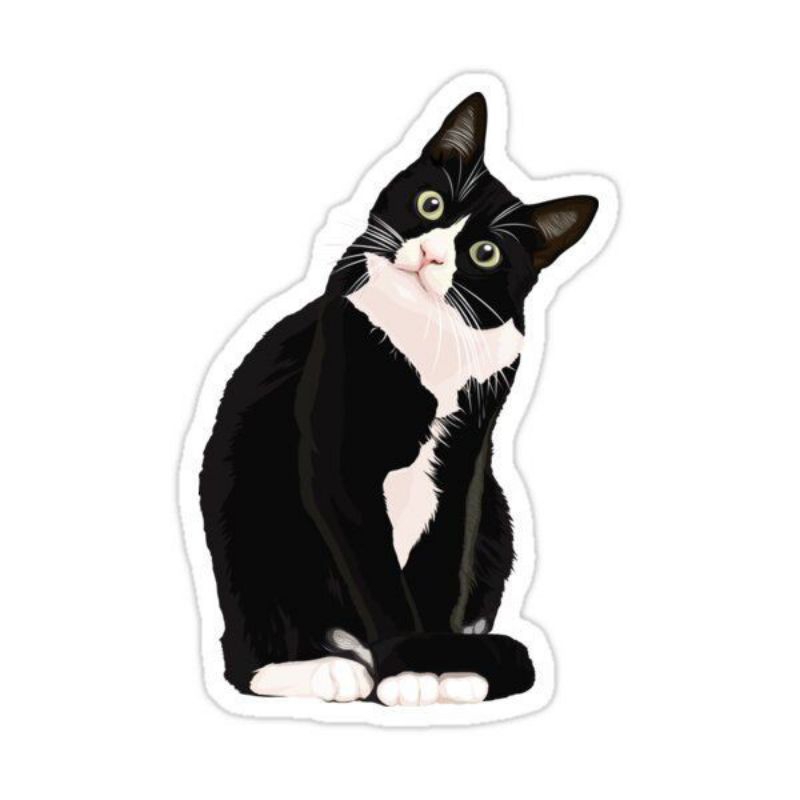 

sticker aesthetic/sticker tumblr/sticker premium/sticker hp/sticker laptop/sticker helm/ sticker motor