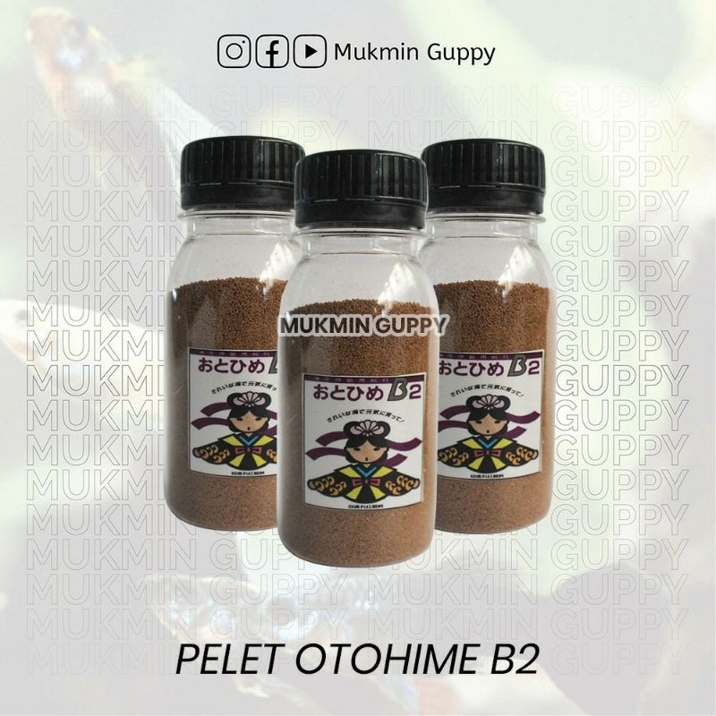 Pelet Otohime B2 - Pakan Burayak Guppy, Cupang, Molly (50 gram)