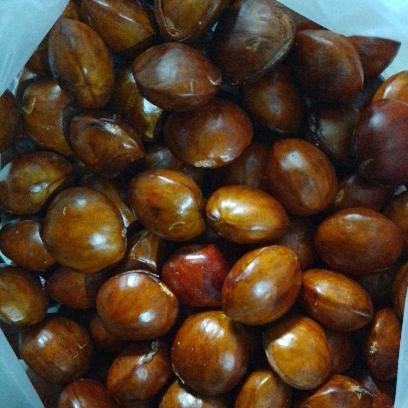 

Jengkol Padi Tua 500gr