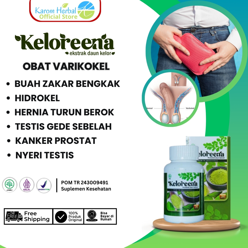 Obat Varikokel Buah Zakar Bengkak Sebelah Hidrokel Hernia Turun Berok Sakit Buah Zakar Nyeri Testis