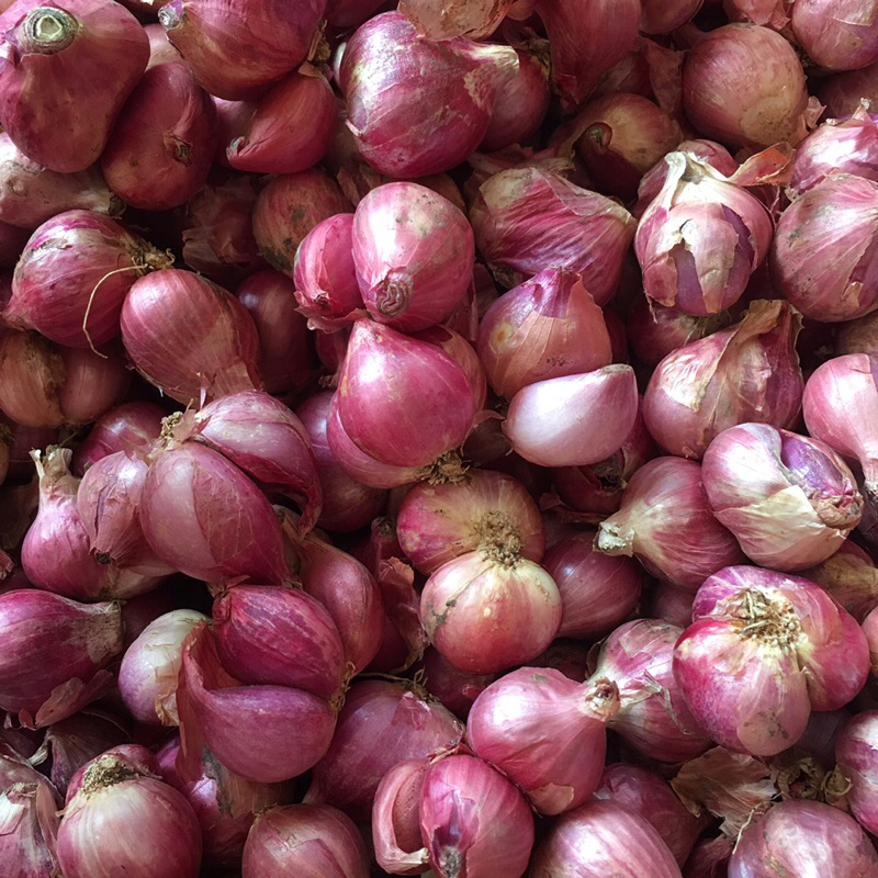 

BAWANG MERAH SUPER BESAR 250 gram