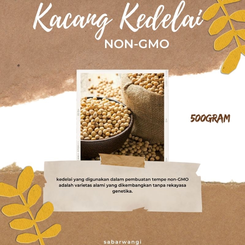 

KACANG KEDELAI NON GMO HIU GCU IMPORT NO 1 USA - KACANG KEDELAI TERBAIK