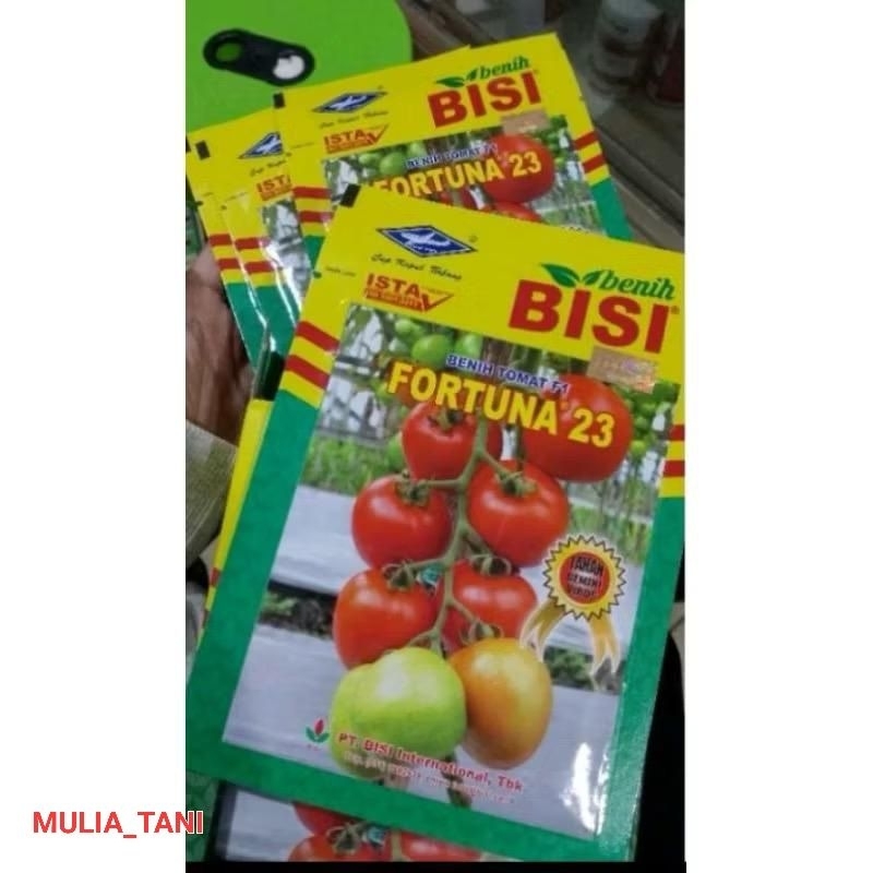 benih bibit Tomat Fortuna 23 F1 5 gram