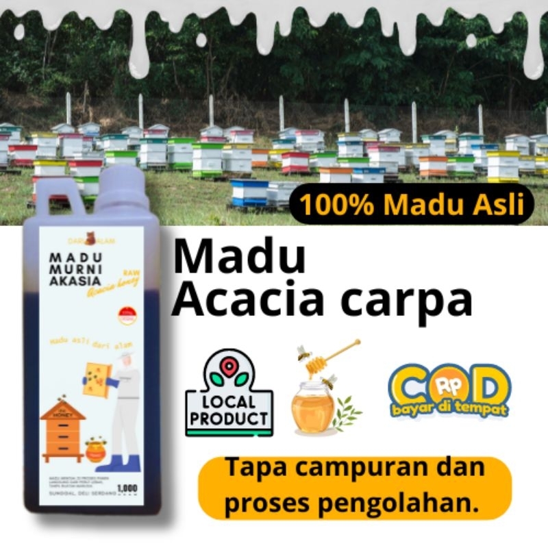 

Madu Akasia Crasicarpa ( Madu RIWAH )
