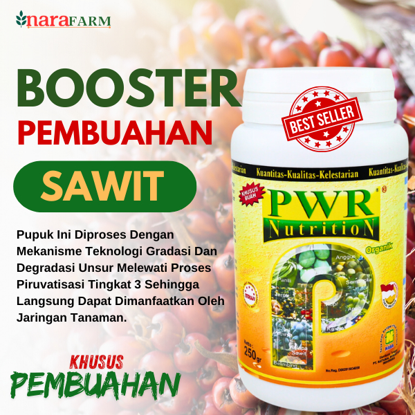 Pupuk buah sawit lebat,Pupuk untuk berat buah sawit,Pupuk sawit buah landak,Pupuk booster sawit