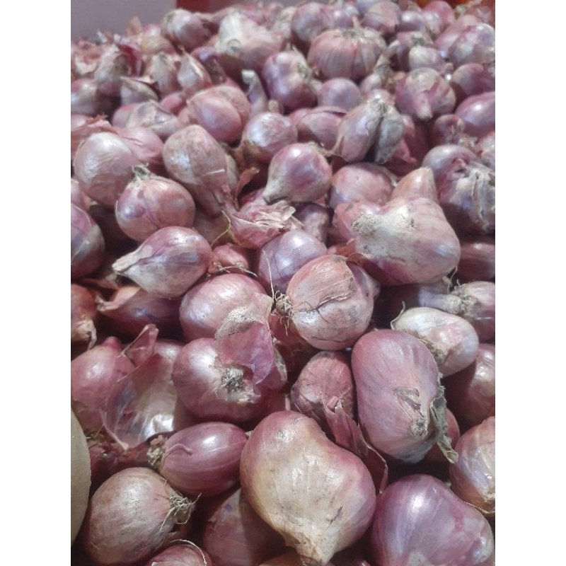 

Bawang merah 500 gram
