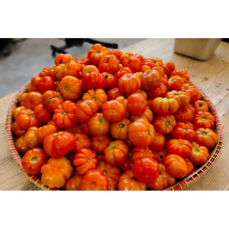 

[TERMURAH] Tomat Ranti Khas Banyuwangi 1 Kg