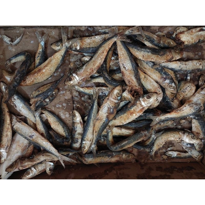

Ikan Asin Teri Cue per 1kilo