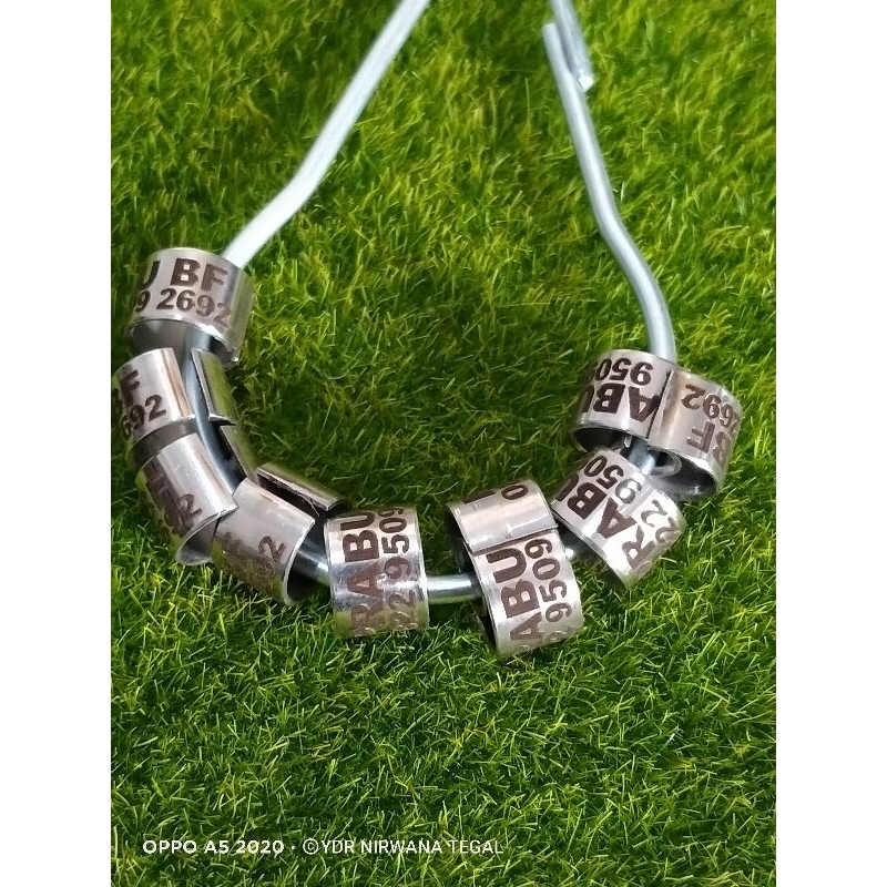 RING MERPATI BAJA BELAH