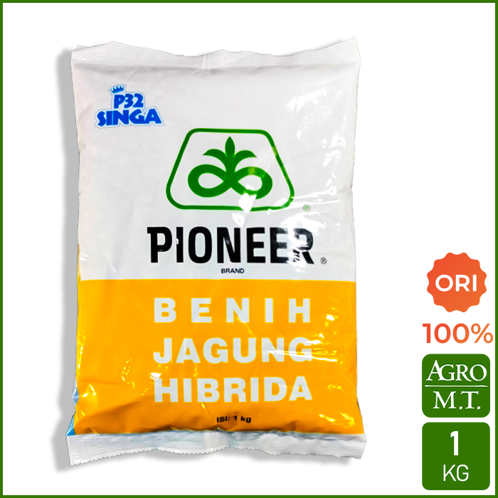 P32 Singa (1KG) Benih Jagung Hibrida PIONEER - ORI Corteva