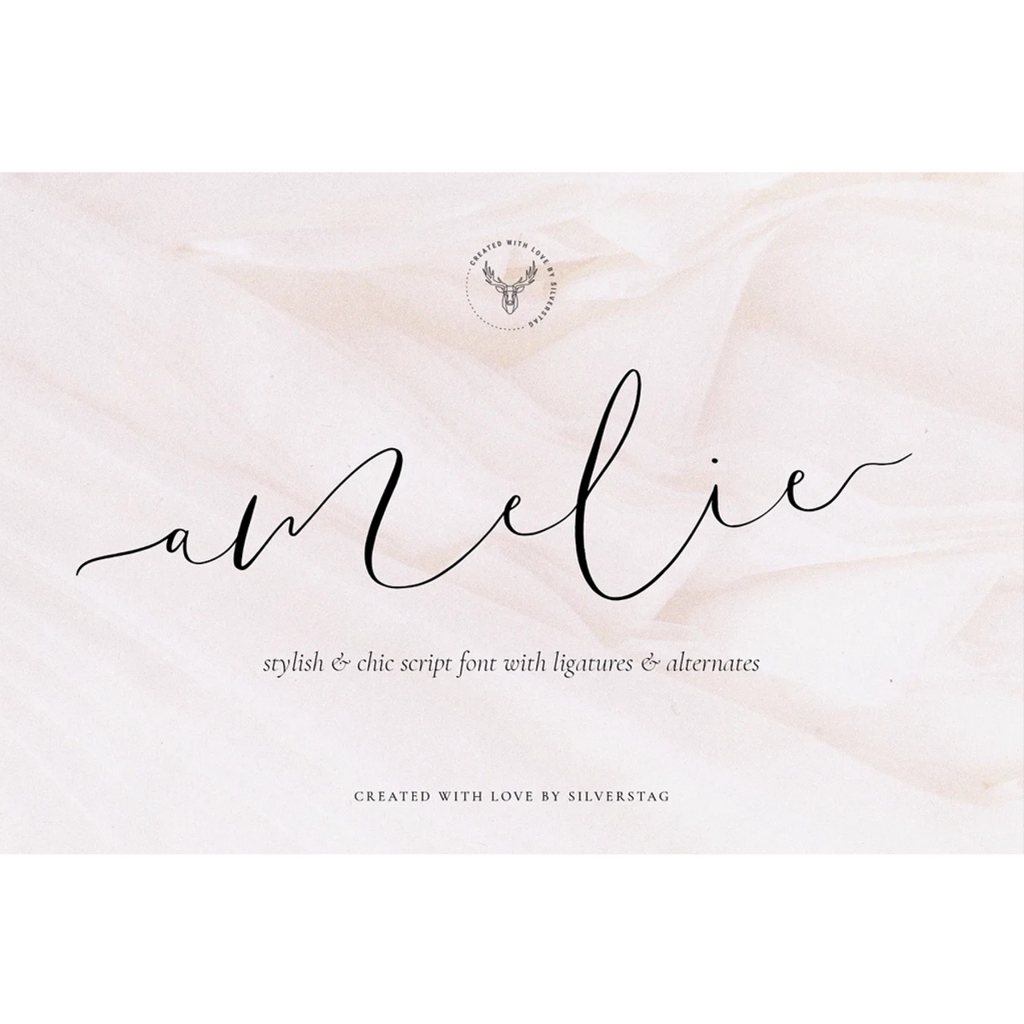 

Chic & Elegant Script Font