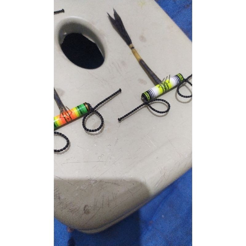 rekeng marmut balap/ bahan kerapan marmut