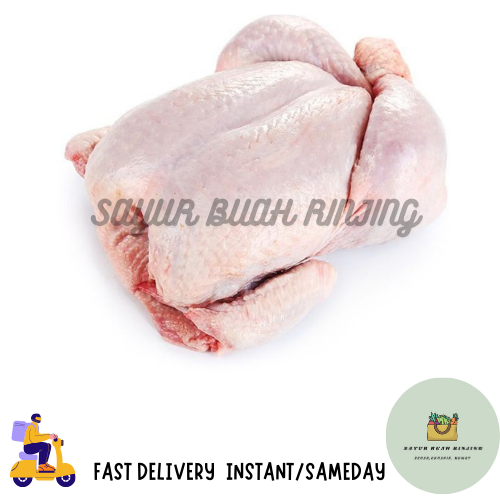 Instant Ayam Segar / Ayam Broiler 1,4kg