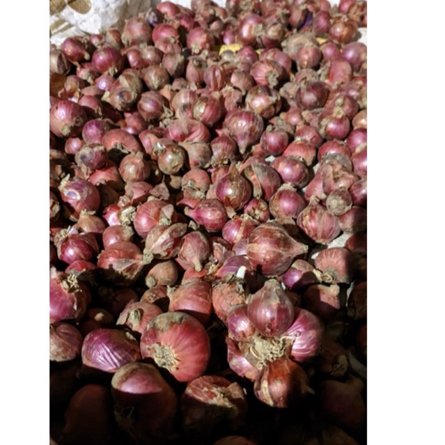 

Petani Muda- Bawang Merah Tawangmangu 500g