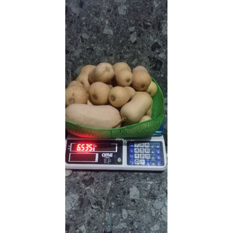 

MantapLabumadujaqcualine