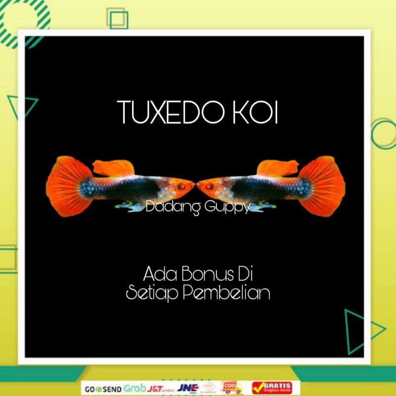 

Packing Styrofoam ( Tuxedo Koi )