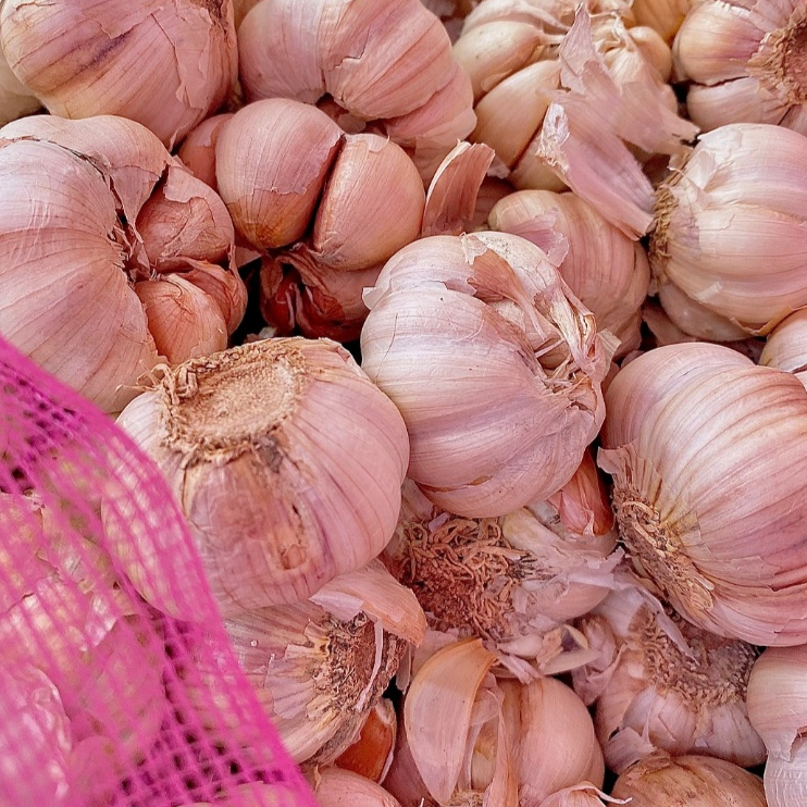 

Bawang Putih Kualitas Super 250 gram | Bawang Putih Super