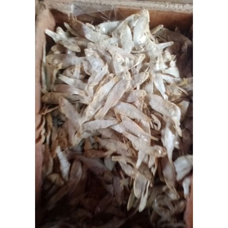 

ikan asin singapur (kering ,kualitas super)