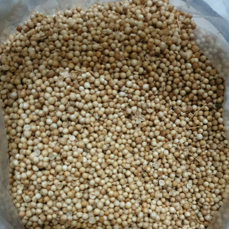 

Ketumbar 250 Gram