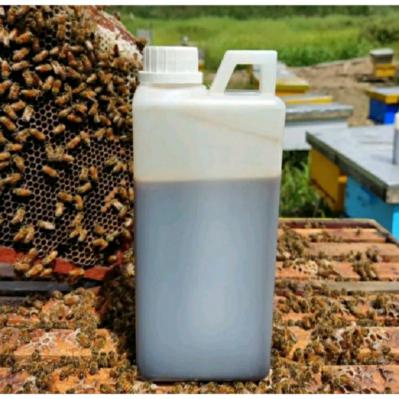 

Madu asli akasia Riau