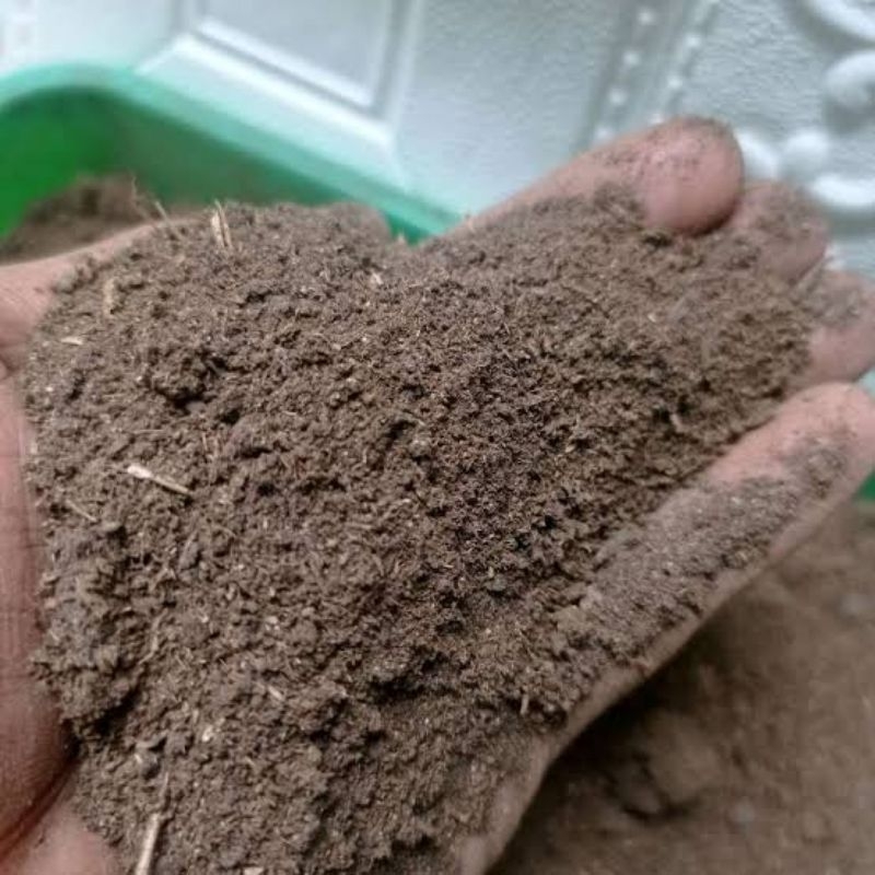 pupuk kandang kohe kambing halus