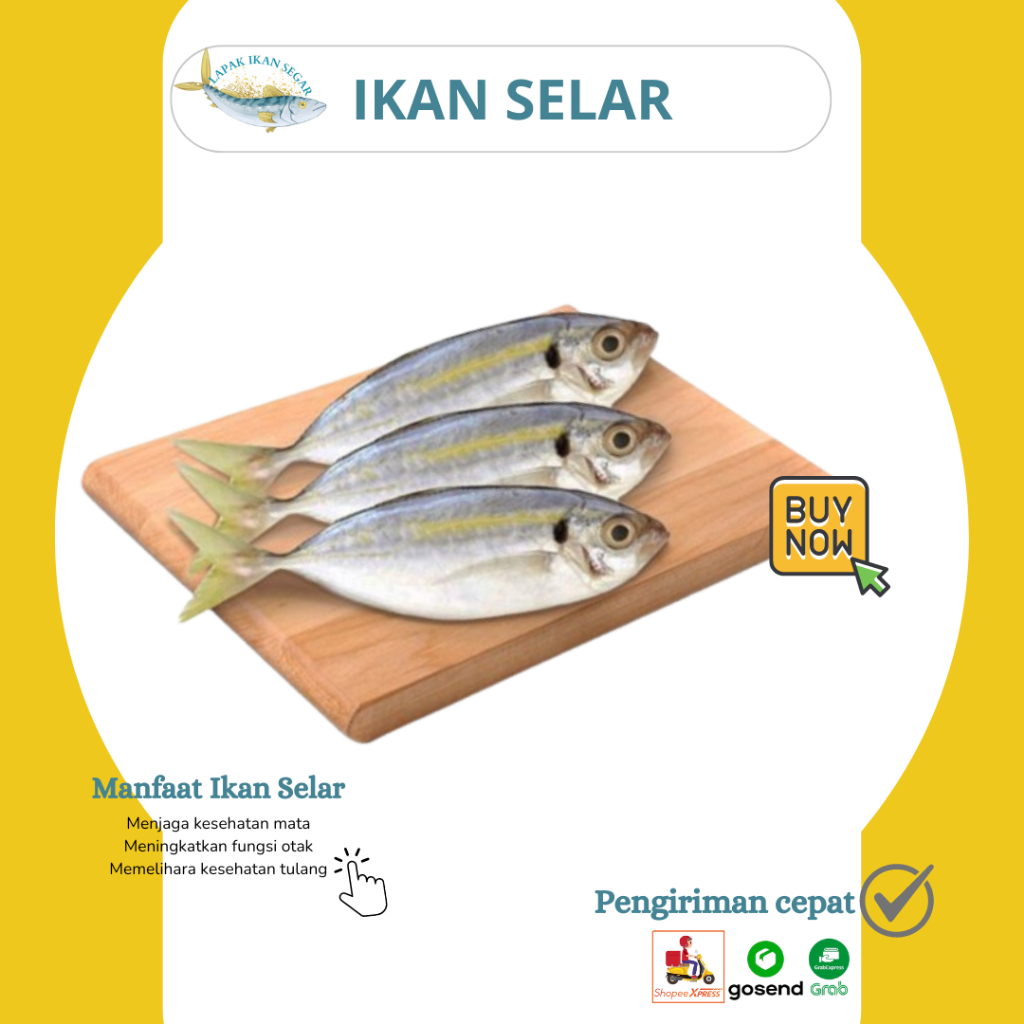 

Ikan Selar Segar Frozen 1Kg Siap kirim