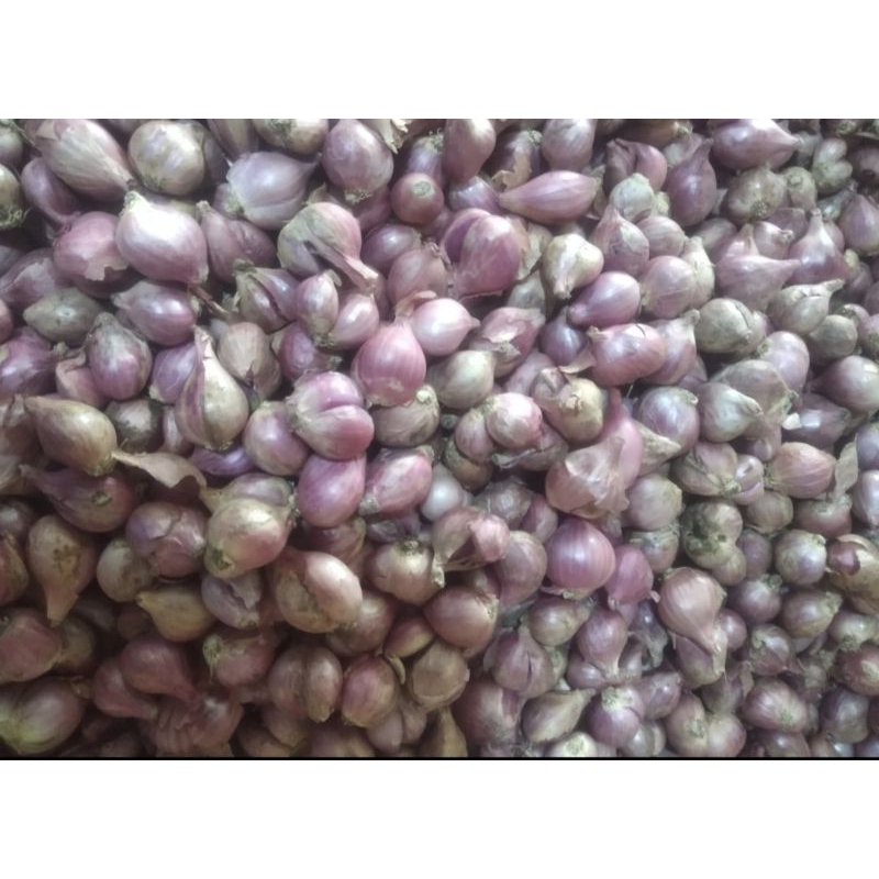 

bawang merah DEMAK kering tanggung 1 kg