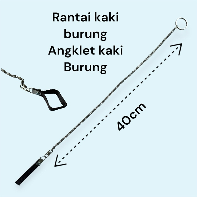 Rantai Kaki Burung Nuri, Owl, Elang, Parkit, angklet rantai.