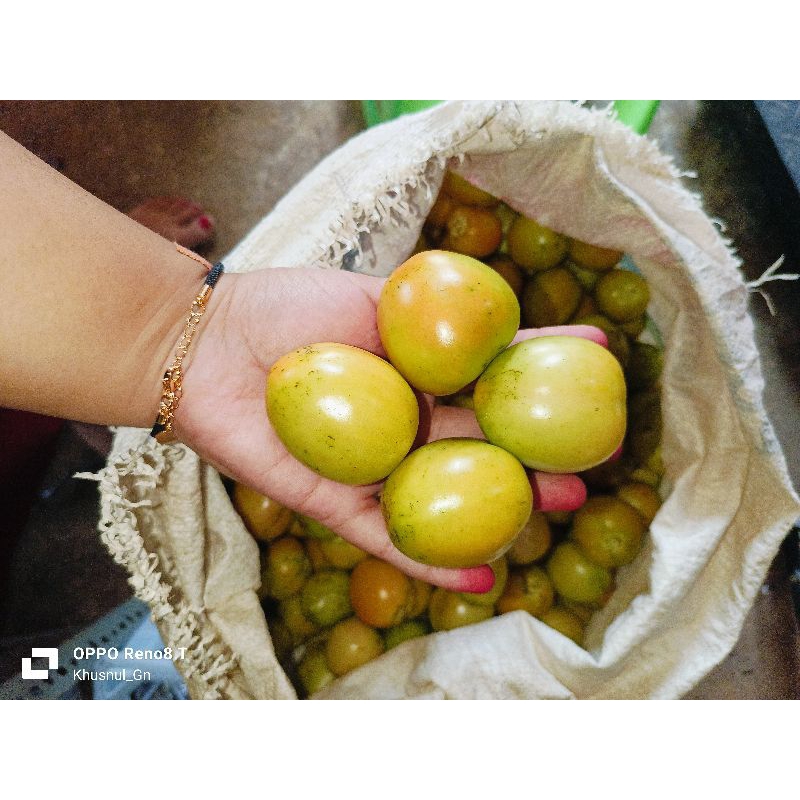 

TOMAT BUAH FRESH 1KG