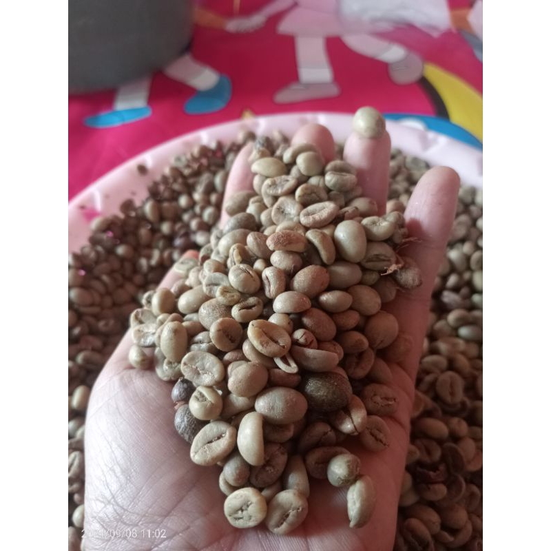 

robusta kopi raung