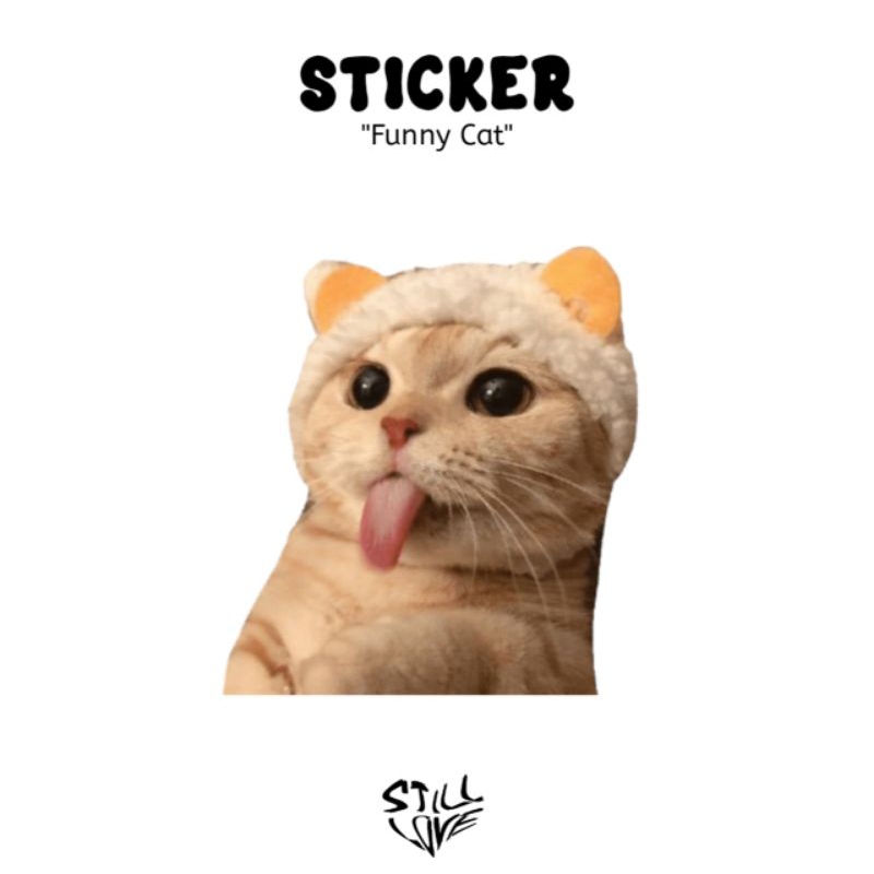

Bisa COD|stiker funny cat|stiker tumblr|stiker laptop|stiker aesthetic|stiker helm|stiker case