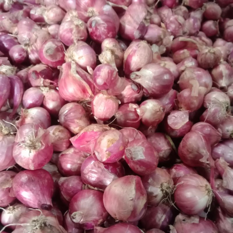 

Bawang Merah Tanggung Besar 2 Kilo