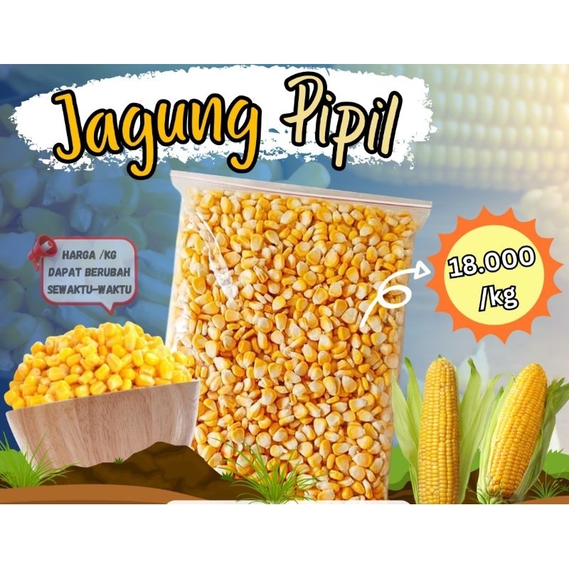 

JAGUNG PIPIL MANIS FRESH 1KG