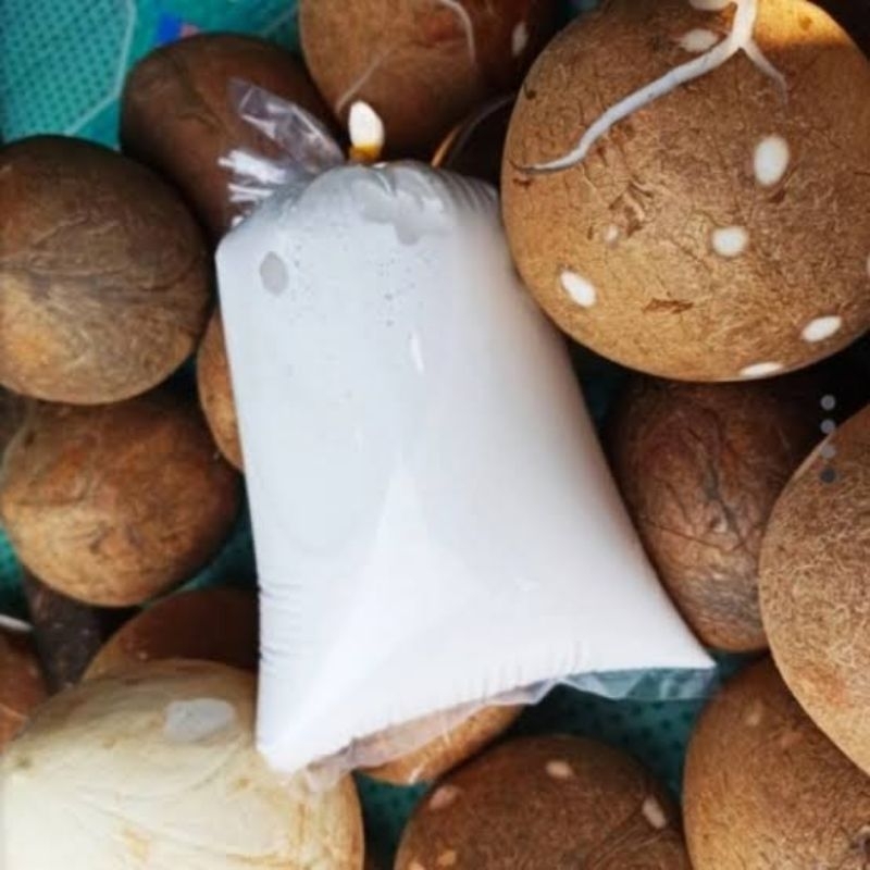 santan kelapa murni 1 buah ( santan kental )