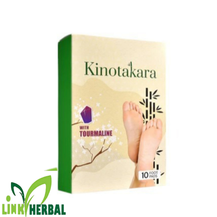 Koyo Kinotakara K-Link | Koyo Kaki Kesehatan | Kinotakara Koyo Penghisap Racun Tubuh