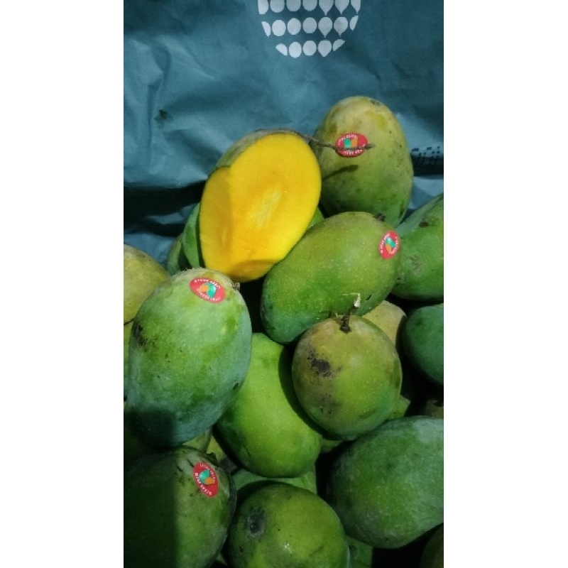 

mangga harum manis grade A