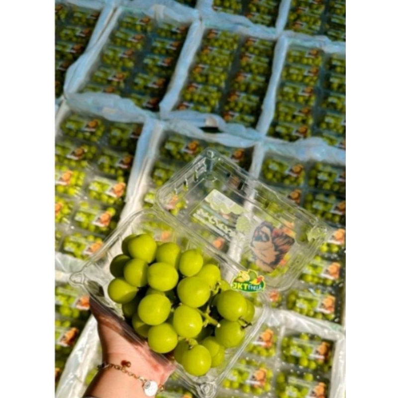 

INSTAN ANGGUR Shine Muscat -+500 gr