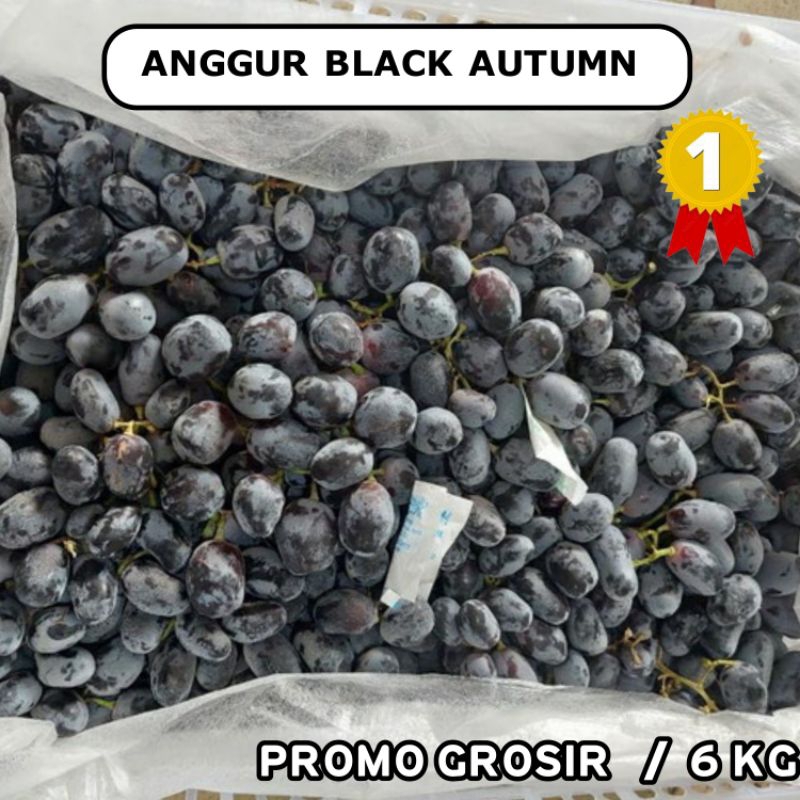 

PROMO!! BUAH ANGGUR AUTUMN ( 6 KG BERSIH ) ANGGUR HITAM BLACK AUTUMN MANIS TANPA BIJI
