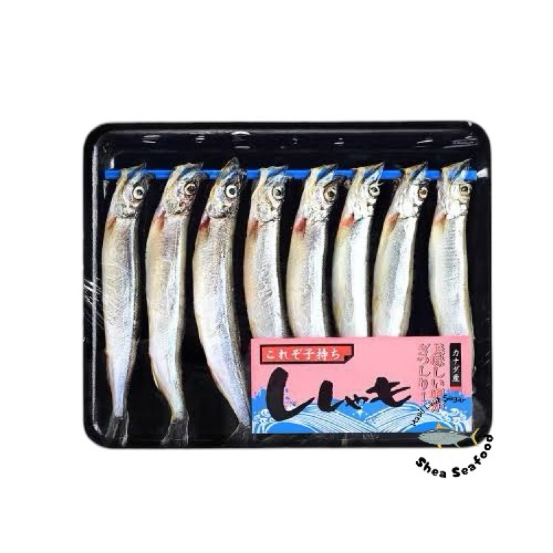 

IKAN SHIMAMO | Capelin Shisamo Fish | Ikan Isi Telur Beku Seafood Fresh Frozen