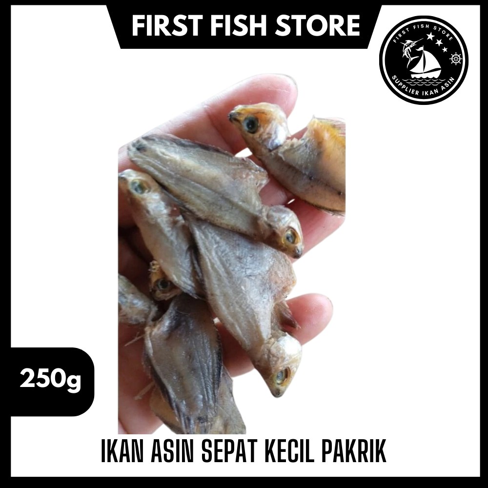 

Ikan Asin Sepat Kecil Pakrik 250 Gram Paling Laris