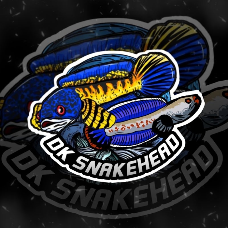 

Sticker Limbata Brolok 7cm