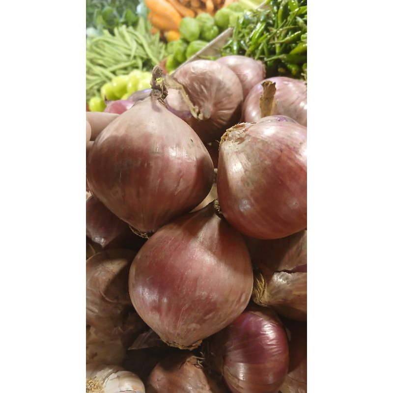 

Bawang bombay merah indis 500grm redy hari ini