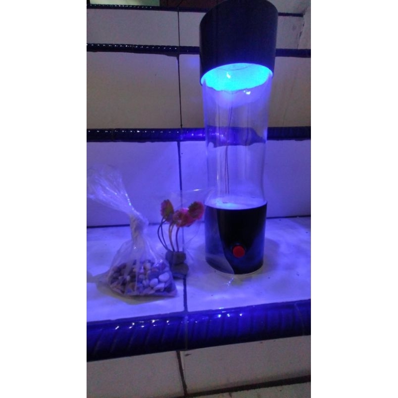 aquarium mini, aquarium botol, aquarium bisa di cas