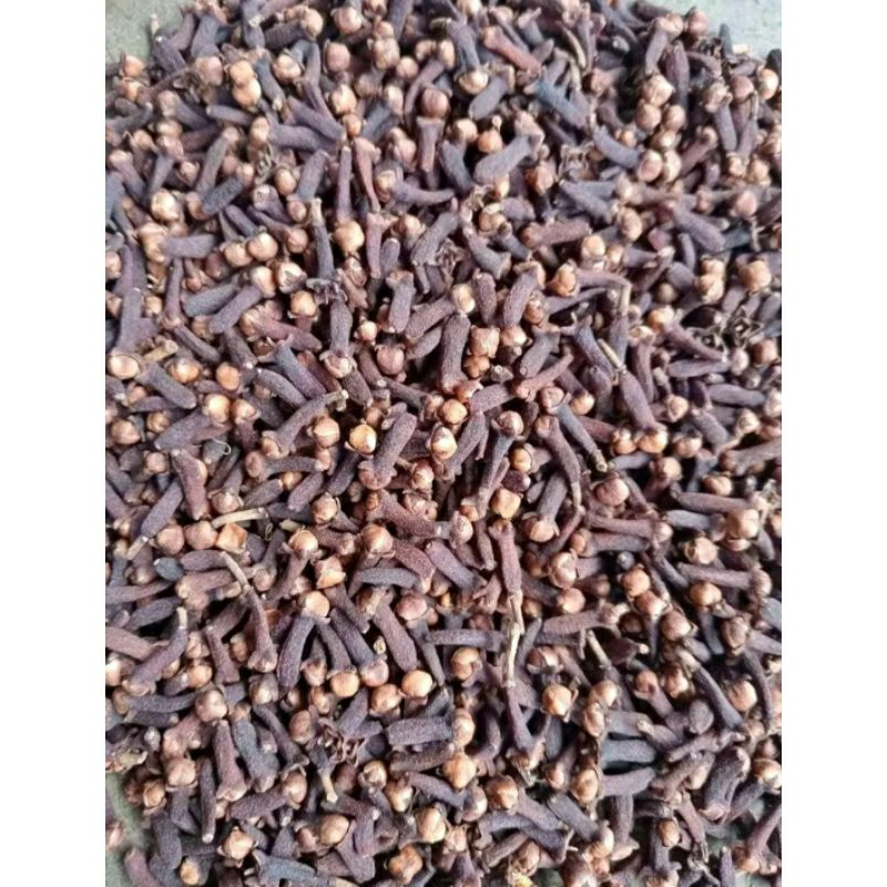 

Cengkeh kering 500gram kwalitas premium