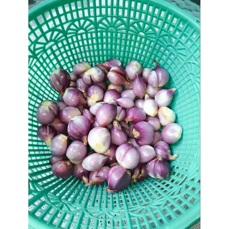 

BAWANG MERAH KUPAS PILIHAN