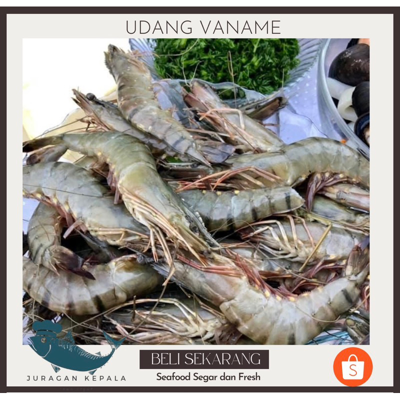 

UDANG VANAME/UDANG KUPAS FRESH 500GRM-1KG