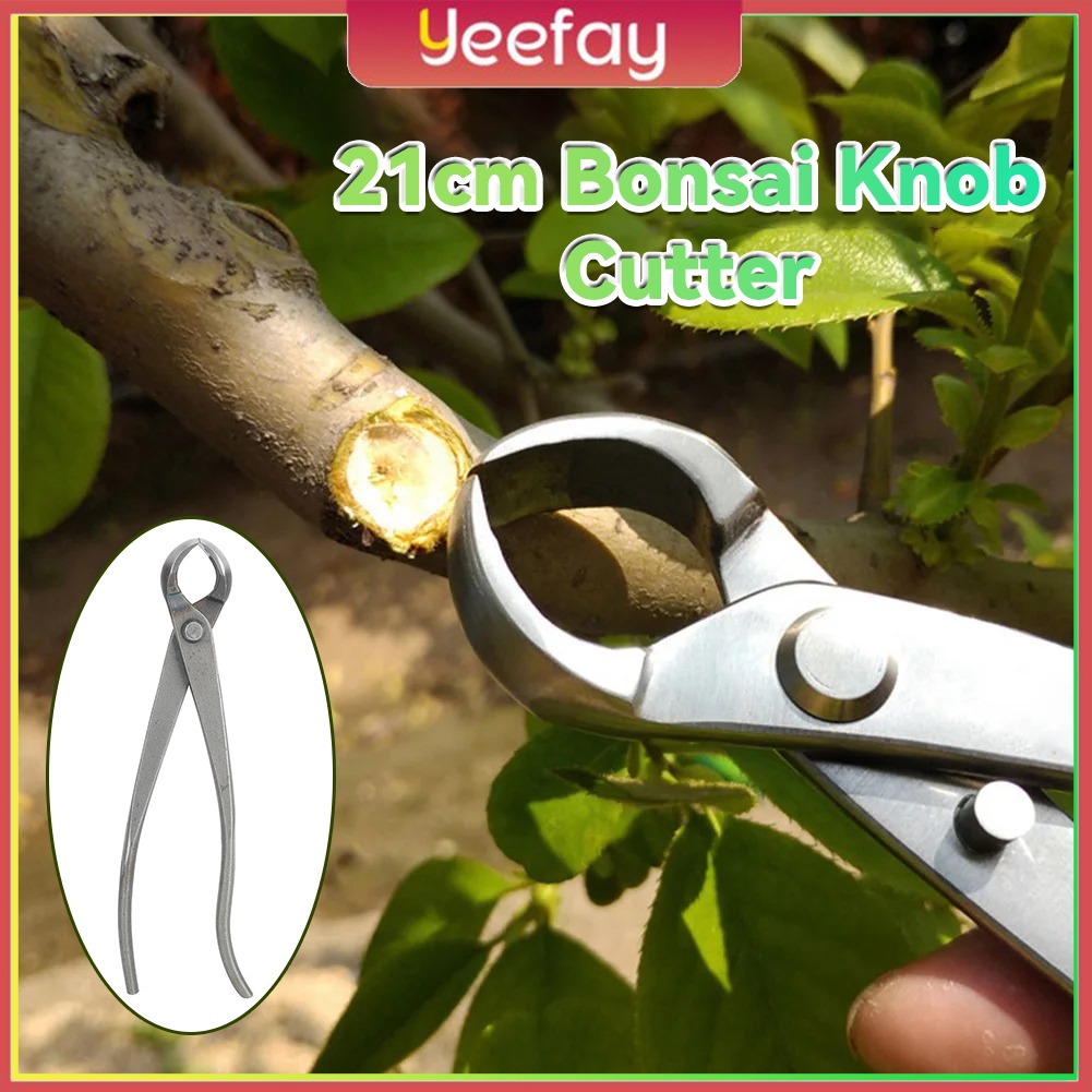 Catok Bonsai Cembung 21cm Knob Cutter/Mirring Cutter Baja Tahan Karat Penuh Catut Cembung Tanaman Bo