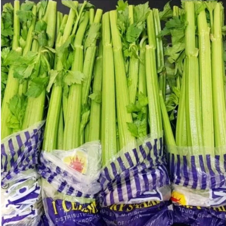 

Celery stick import china fresh 1kg