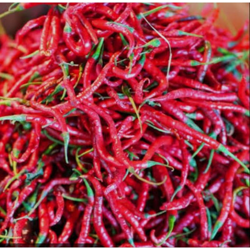 

Cabe Keriting merah.Wonogiri berat 250 gr